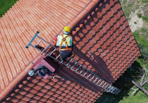 Professional Roofing in Cortland, IL